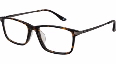 Brown Titanium Glasses (Frames)