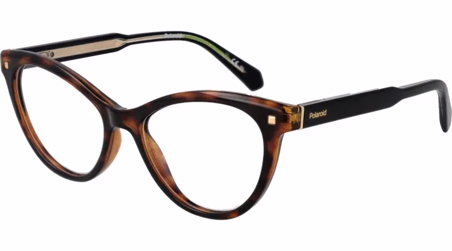 Polaroid Brown Plastic Glasses (Frames)