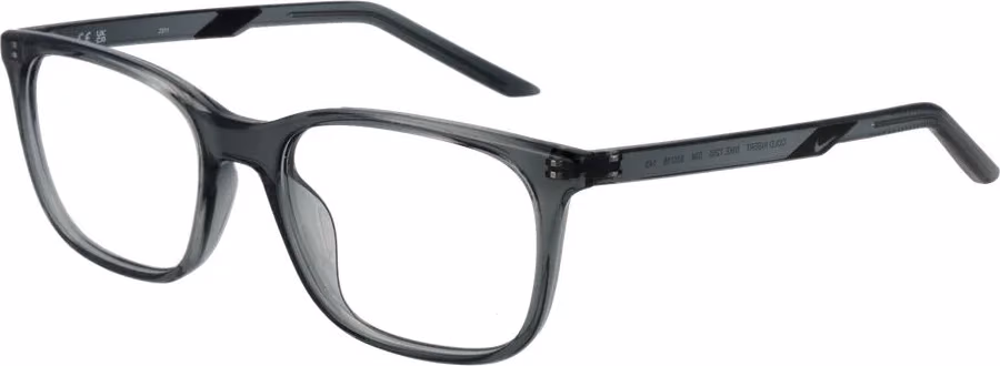 Nike Gray Stainless Steel Glasses (Frames)