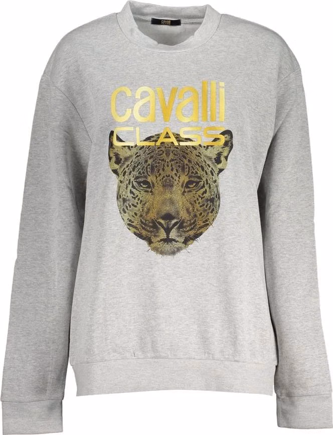 Cavalli Class Grigio Polyester Woman Sweatshirt